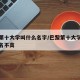 巴黎第十大学叫什么名字/巴黎第十大学为什么排名不高
