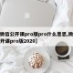 【微信公开课pro版pro什么意思,微信公开课pro版2020】