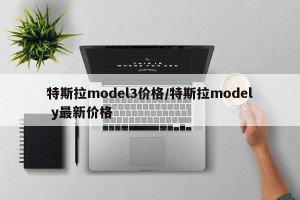 特斯拉model3价格/特斯拉model y最新价格