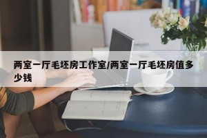 两室一厅毛坯房工作室/两室一厅毛坯房值多少钱